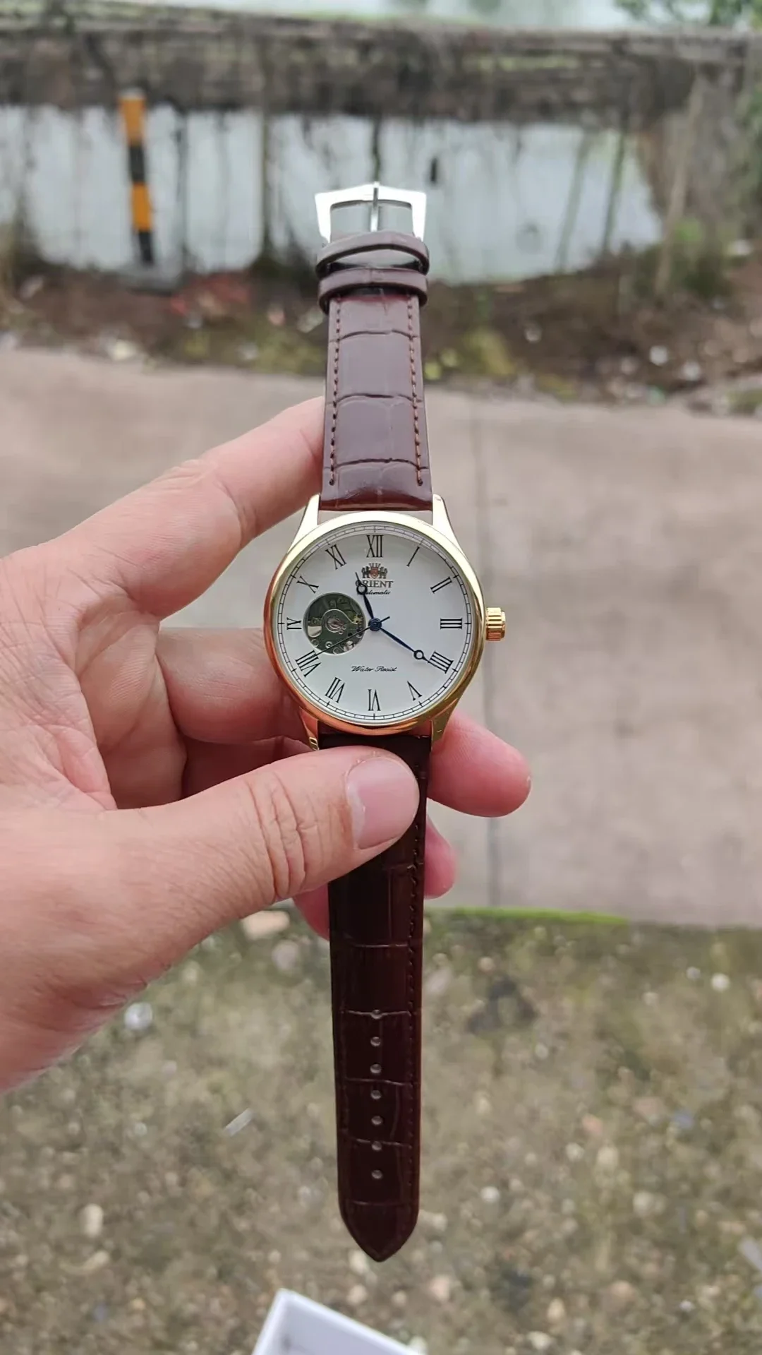 DFDG Mechanische Skelett-Uhr m – Seiko Watch Presage Bewertung und Preis